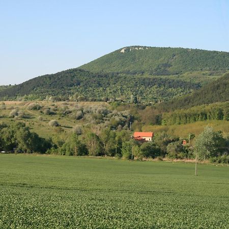Pilisborosjenő Malomdulo Farmhaz 게스트하우스 외부 사진