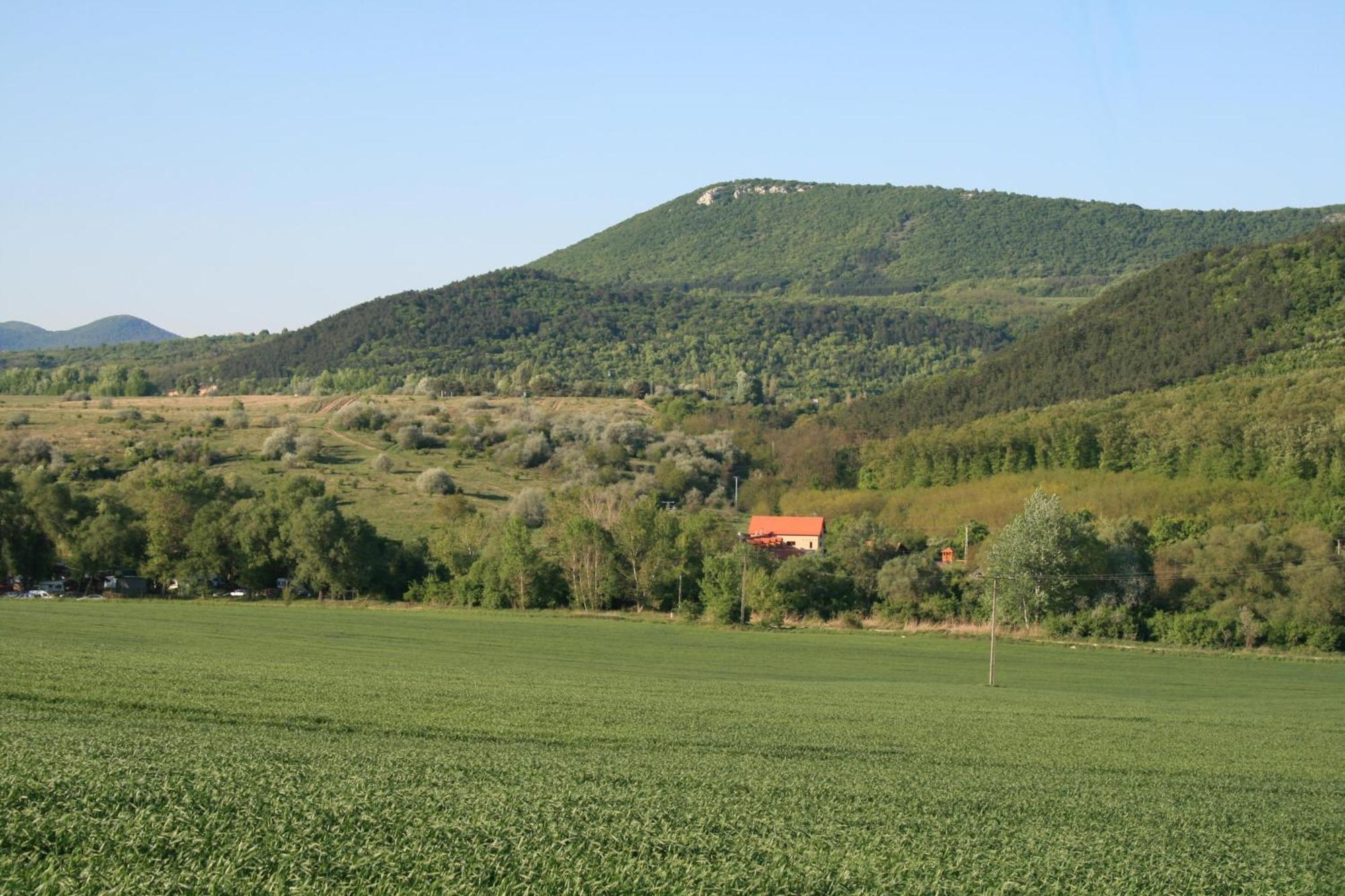Pilisborosjenő Malomdulo Farmhaz 게스트하우스 외부 사진