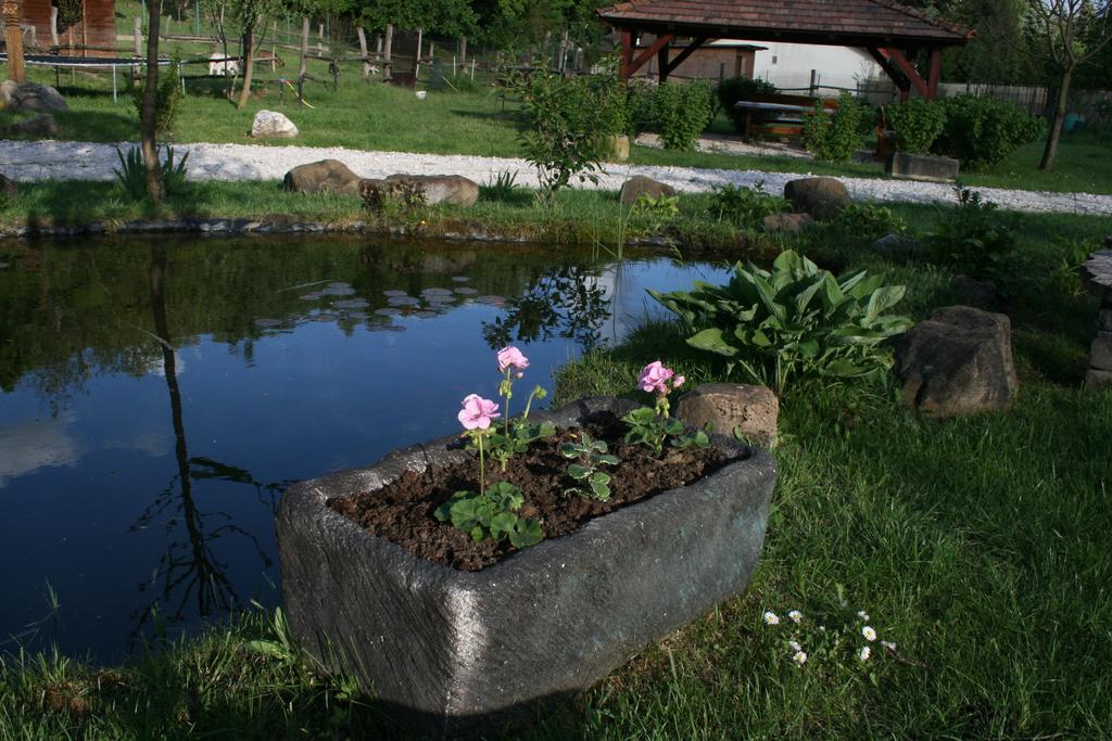 Pilisborosjenő Malomdulo Farmhaz 게스트하우스 외부 사진
