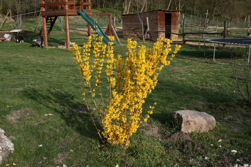 Pilisborosjenő Malomdulo Farmhaz 게스트하우스 외부 사진