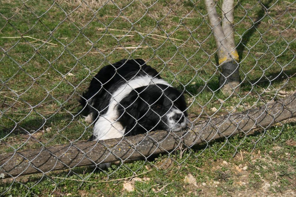 Pilisborosjenő Malomdulo Farmhaz 게스트하우스 외부 사진